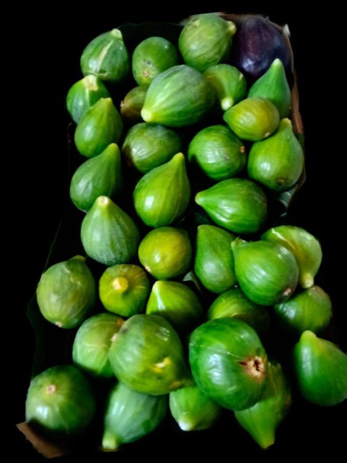 Mareggiata